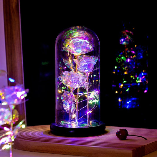 Leuchtende Rose unter Glas mit feiner Lichterkette - Liebesketten