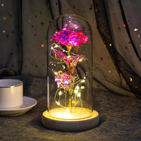 Leuchtende Rose unter Glas mit feiner Lichterkette