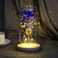 Leuchtende Rose unter Glas mit feiner Lichterkette