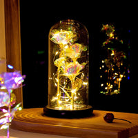 Leuchtende Rose unter Glas mit feiner Lichterkette